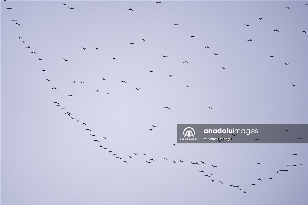 Ankara'da günlük yaşam