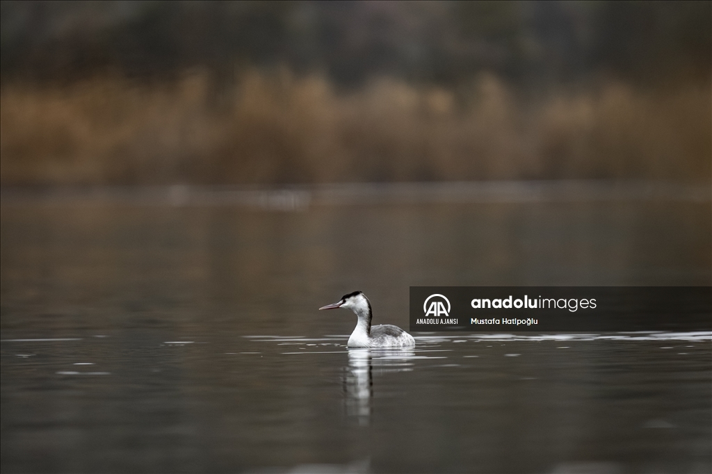 Ankara'da günlük yaşam