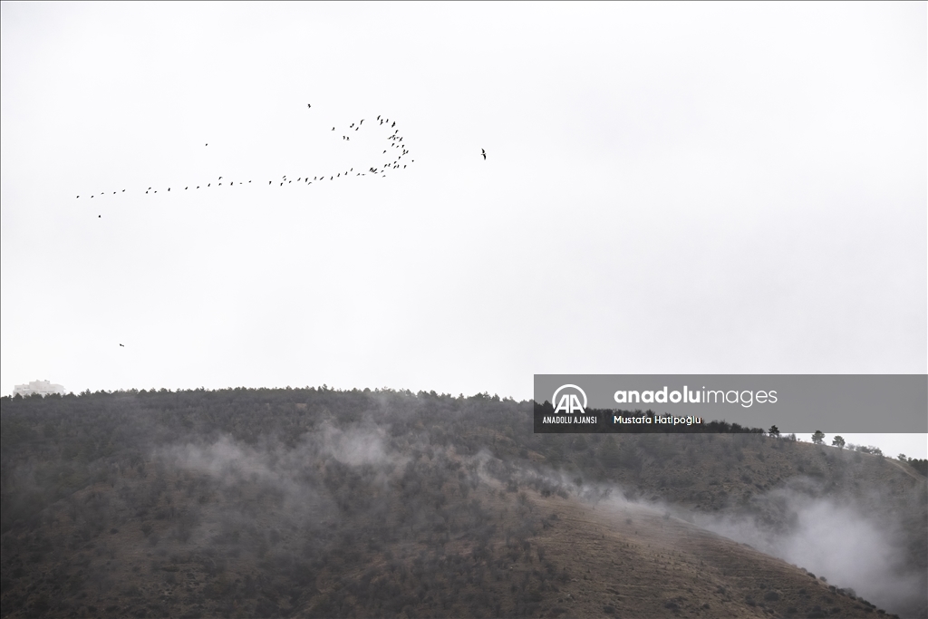 Ankara'da günlük yaşam