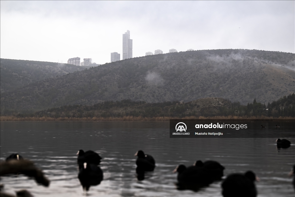 Ankara'da günlük yaşam