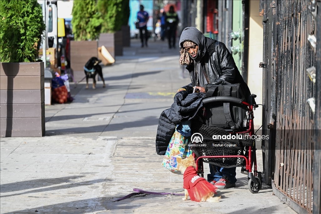 California'da artan konut maliyetleri nedeniyle evsizlik krizi devam ediyor
