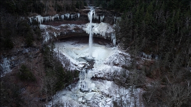 New York'taki Kaaterskill Şelalesi aşırı soğuk hava nedeniyle dondu