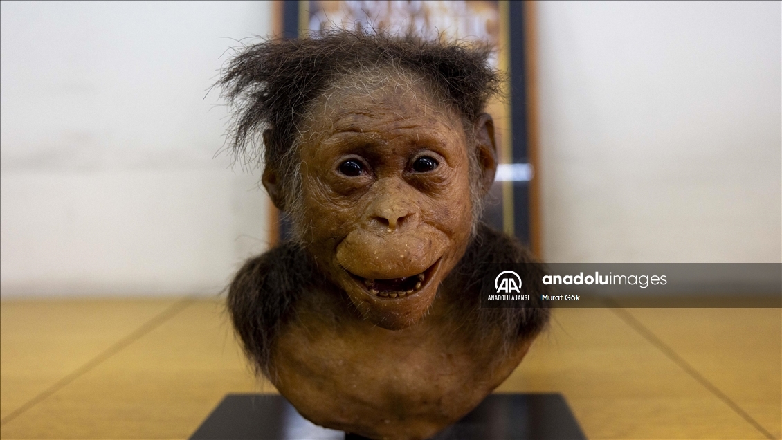 Etiyopya'da 3,2 milyon yıllık insansı fosil: Lucy