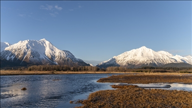 Alaska'da balıkçılık