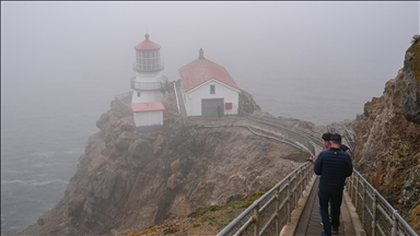 California Point Reyes Ulusal Sahili