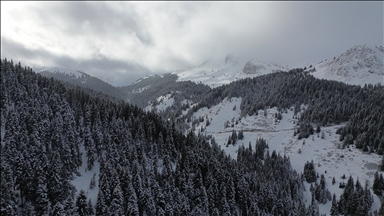 Anadolu'nun yüce dağı Ilgaz doğa tutkunlarını cezbediyor