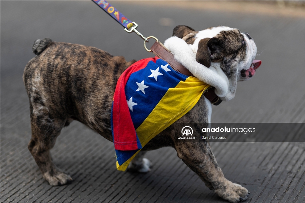 Meksika'da yaşayan Venezuelalı göçmenler, Maduro yönetimini protesto etti