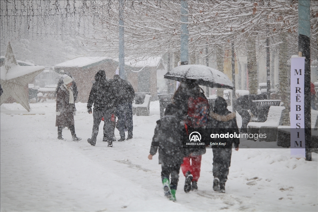 Kosova'da kar yağışı etkili oldu