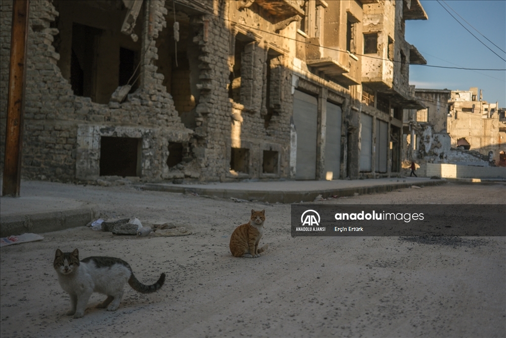 Humus'ta Esed rejiminin bombalayarak hayalet kente çevirdiği mahalleler görüntülendi