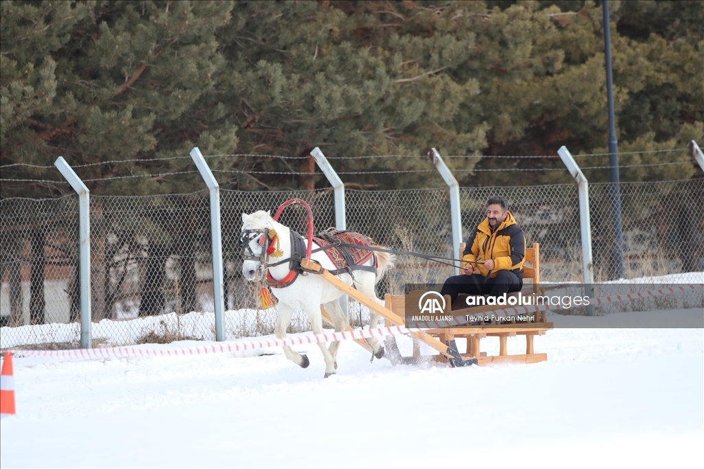 Erzurum'da, Geleneksel Atlı Kızak Şöleni düzenlendi