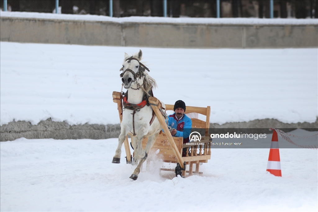 Erzurum'da, Geleneksel Atlı Kızak Şöleni düzenlendi