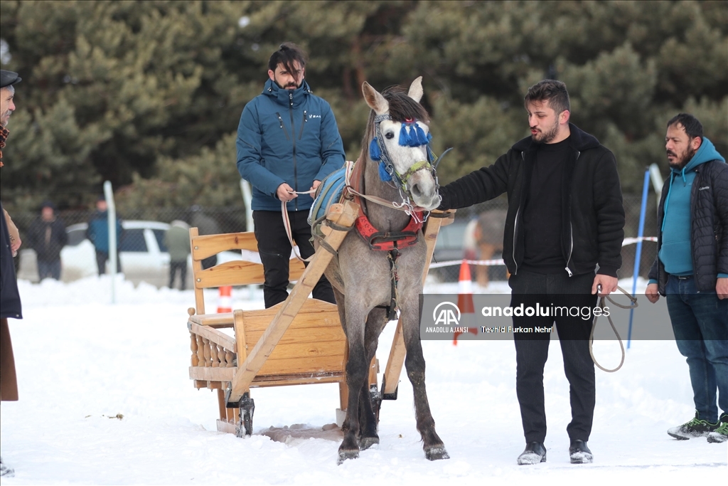 Erzurum'da, Geleneksel Atlı Kızak Şöleni düzenlendi