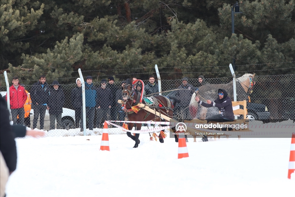 Erzurum'da, Geleneksel Atlı Kızak Şöleni düzenlendi