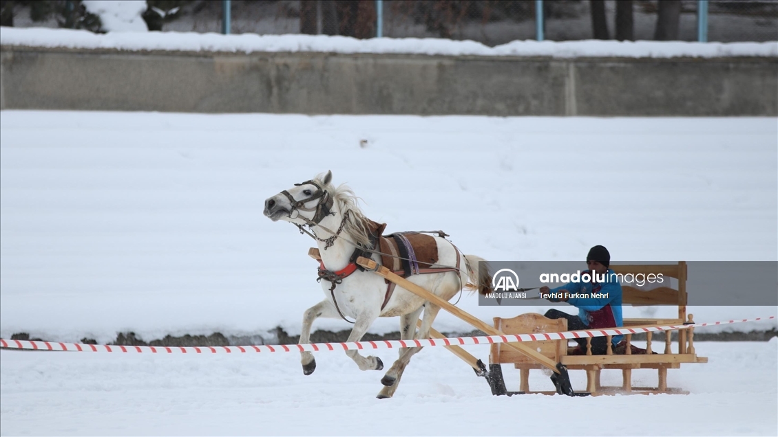 Erzurum'da, Geleneksel Atlı Kızak Şöleni düzenlendi