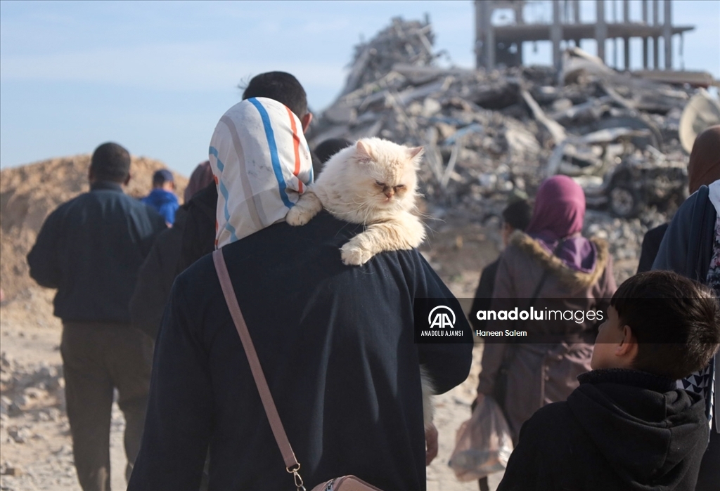 Ateşkesin ardından Gazze'nin kuzeyine dönen Filistinliler yıkımla karşılaştı