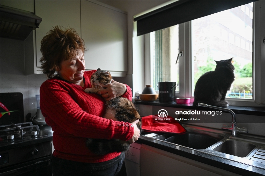 Londra'nın sahipsiz kedi ve yaralı vahşi kuşları iki arkadaşa emanet