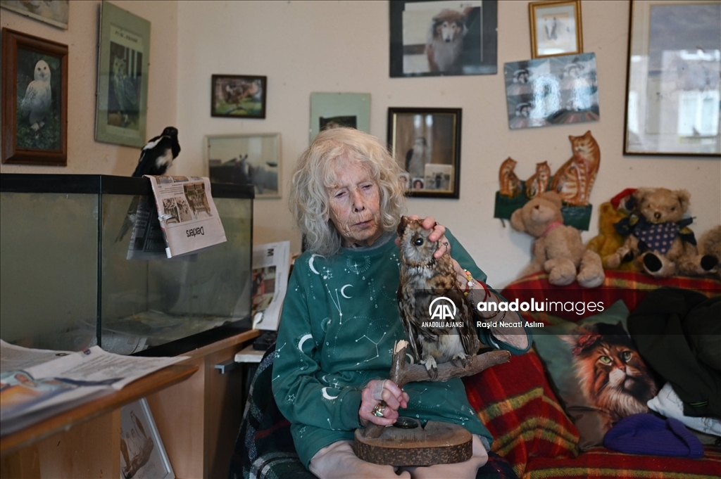 Londra'nın sahipsiz kedi ve yaralı vahşi kuşları iki arkadaşa emanet