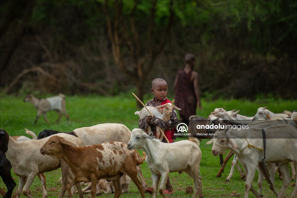 Afrika’nın güçlü savaşçıları: Masai Kabilesi