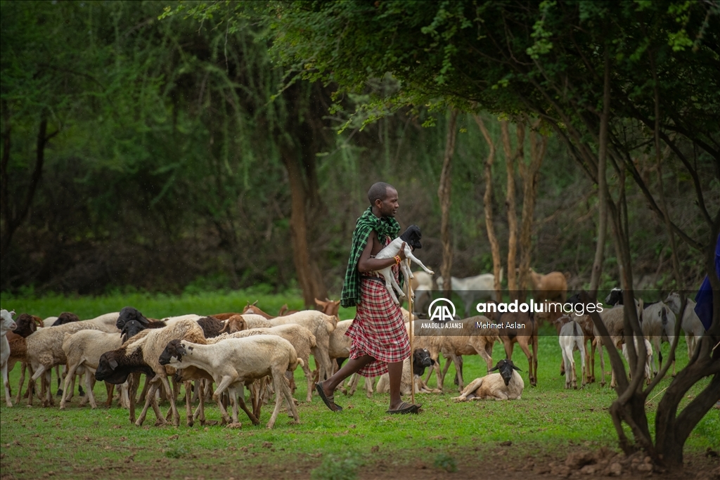 Afrika’nın güçlü savaşçıları: Masai Kabilesi