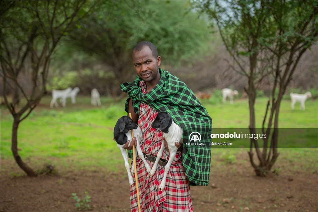 Afrika’nın güçlü savaşçıları: Masai Kabilesi