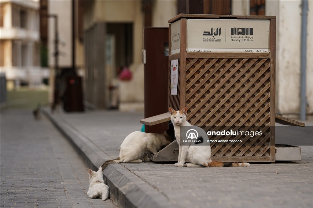 Suudi Arabistan'ın tarih boyunca önemini koruyan liman kenti: Cidde