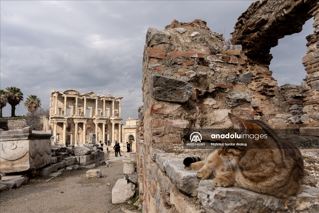 Turkiye's ancient city of Ephesus welcomed over 2.5 million visitors in 2024