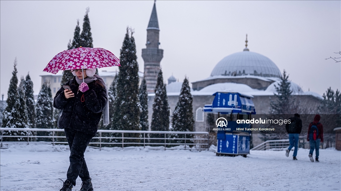 Erzurum'da kar etkili oldu