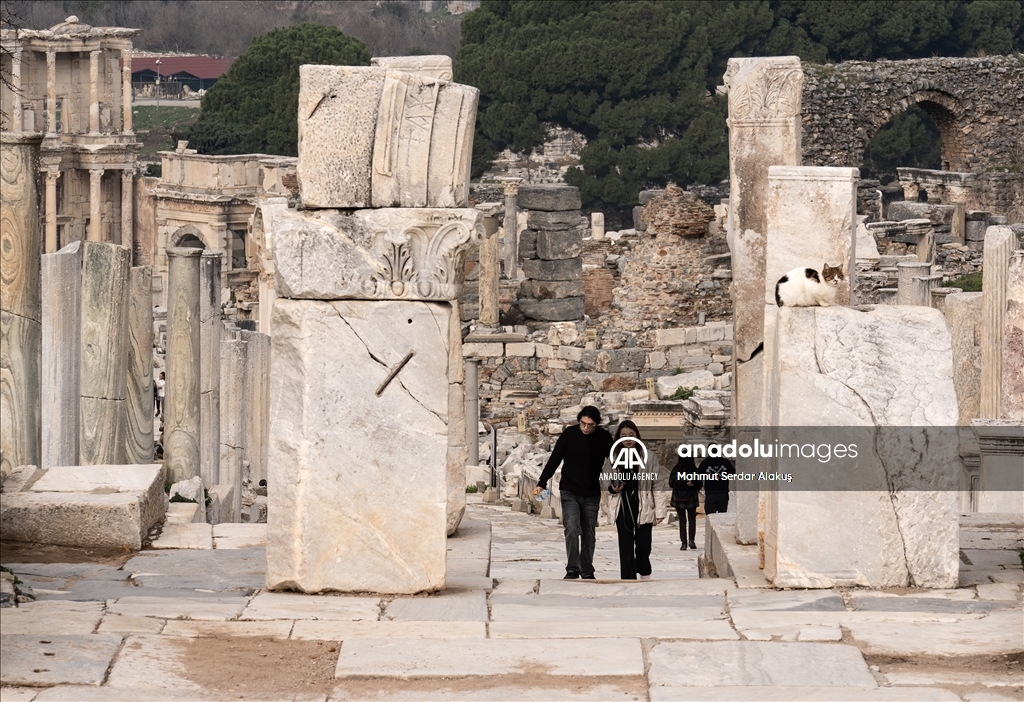 Turkiye's ancient city of Ephesus welcomed over 2.5 million visitors in 2024