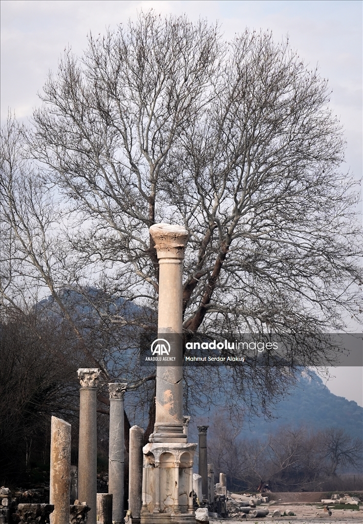 Turkiye's ancient city of Ephesus welcomed over 2.5 million visitors in 2024