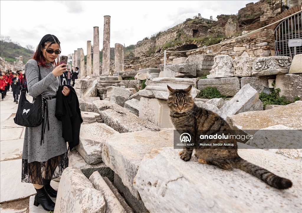 Turkiye's ancient city of Ephesus welcomed over 2.5 million visitors in 2024