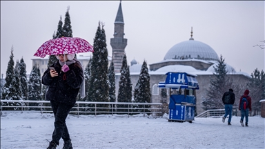 Erzurum'da kar yağışı etkili oldu