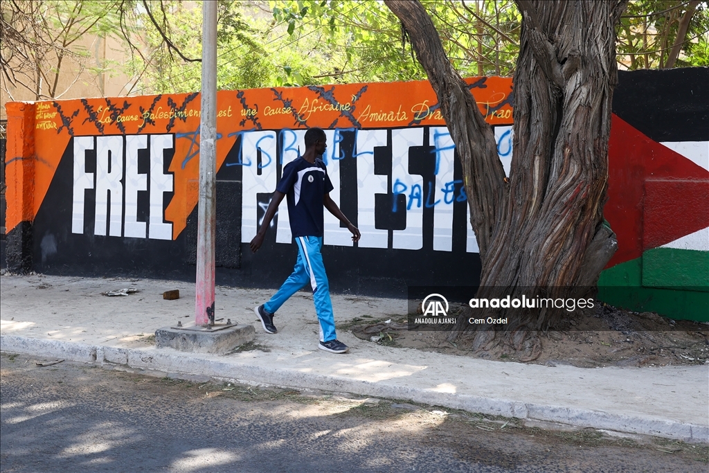 Senegal'de Filistin'e destek için çizilen grafitilere siyonist saldırı