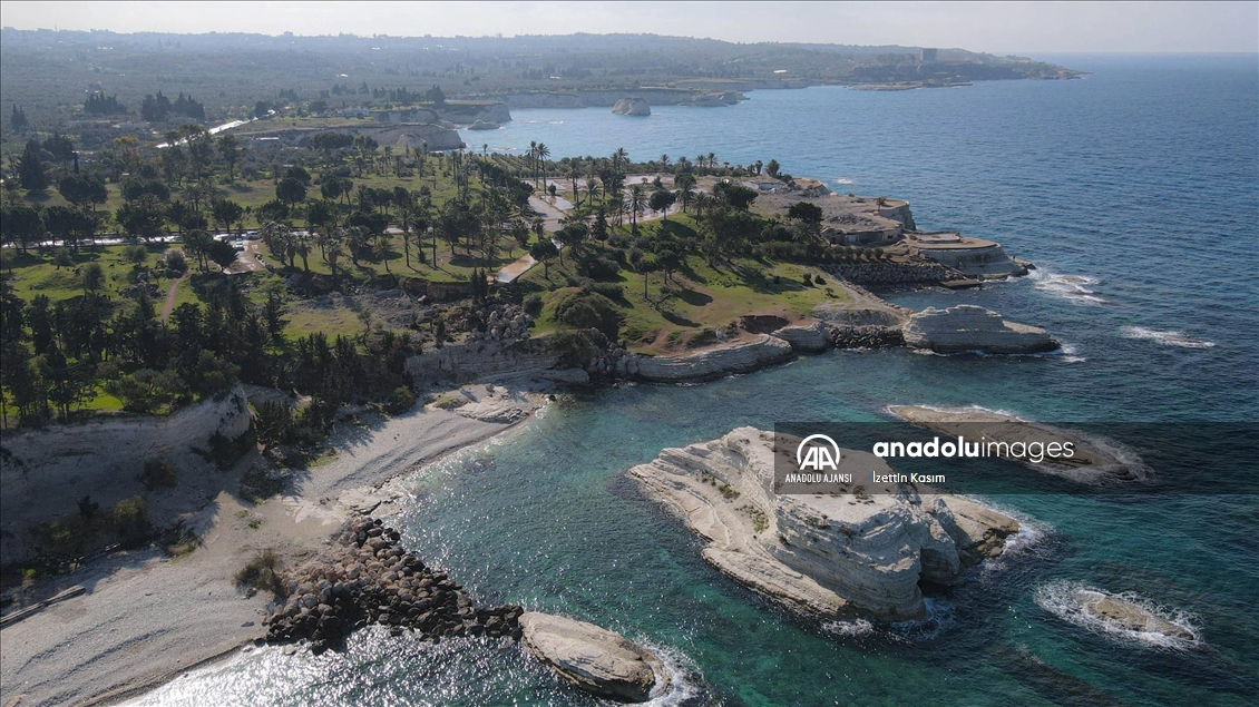 Bayırbucak Türkmenleri, Esed ailesinin saraylar için gasbettiği toprakları geri istiyor