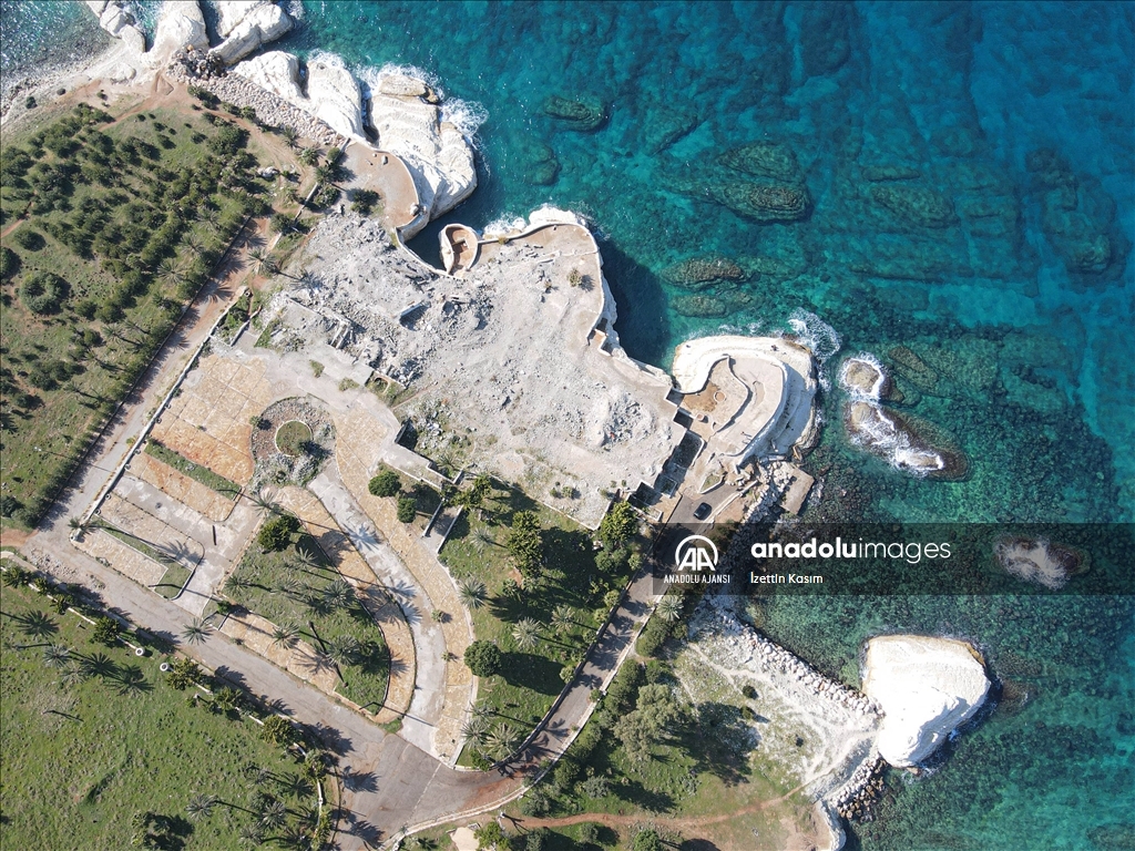 Bayırbucak Türkmenleri, Esed ailesinin saraylar için gasbettiği toprakları geri istiyor