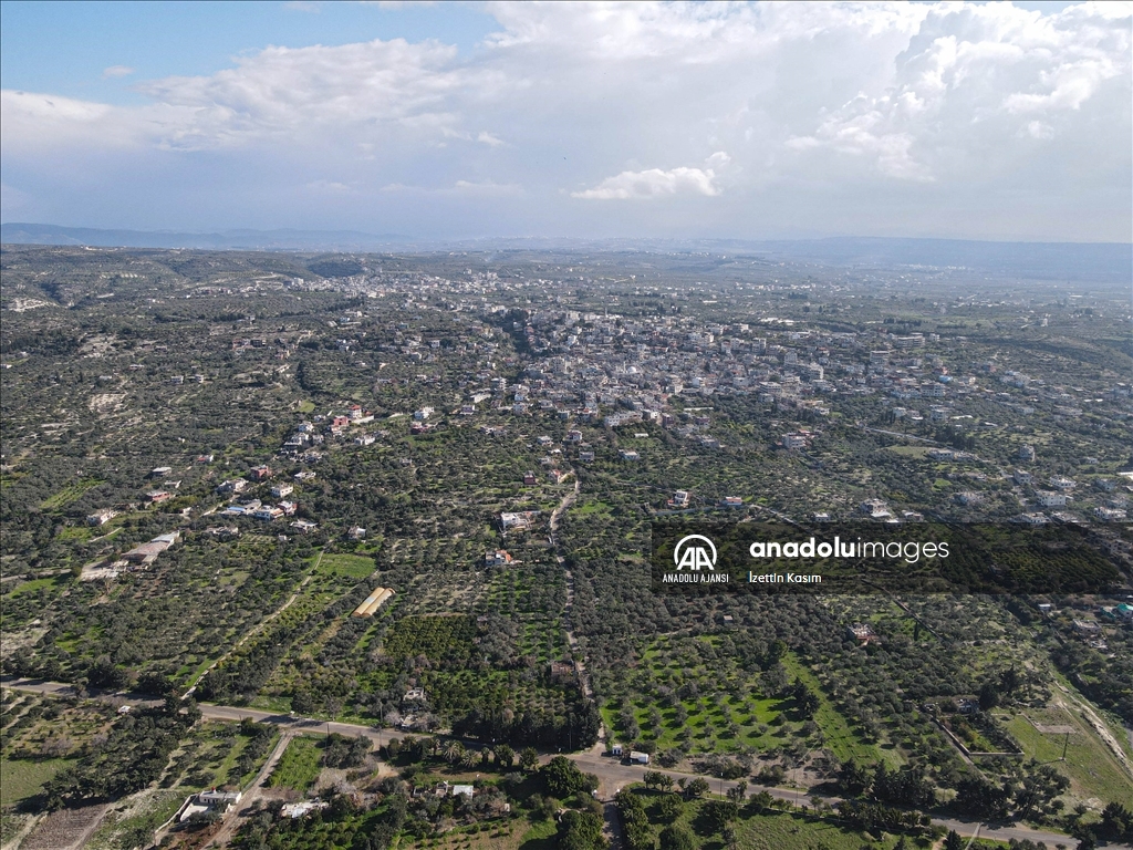 Bayırbucak Türkmenleri, Esed ailesinin saraylar için gasbettiği toprakları geri istiyor