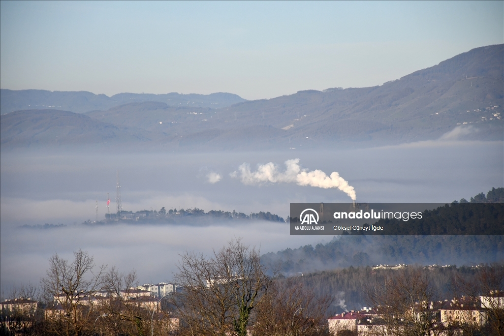 Düzce'de sis etkili oldu