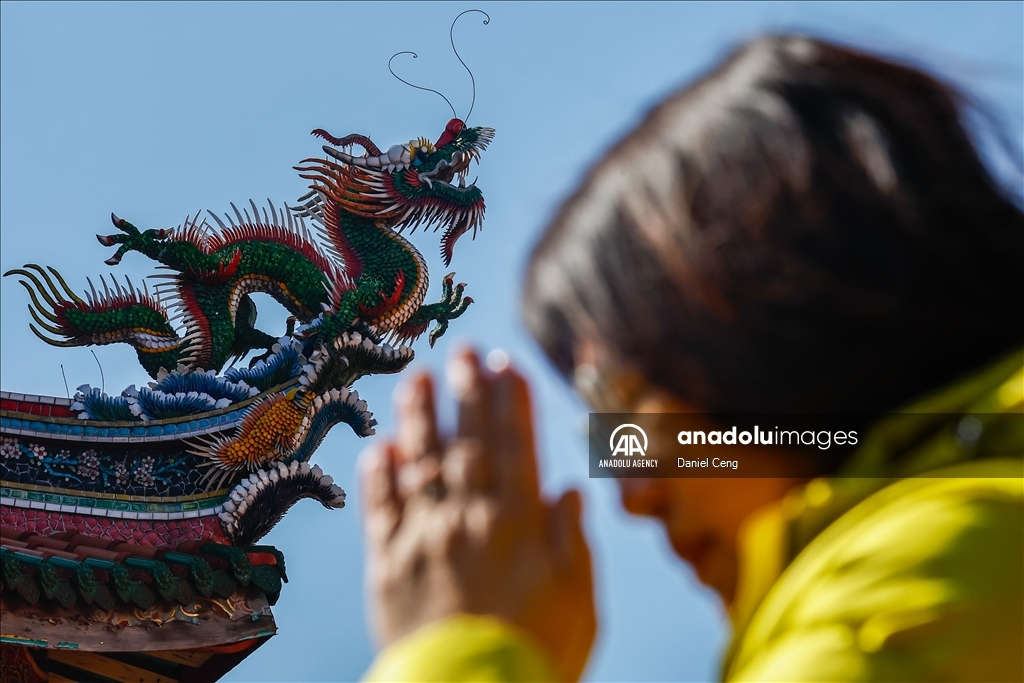 Taiwan welcomes Year of the Snake