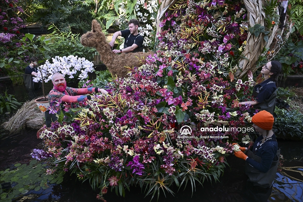 Londra'da Orkide Festivali için Kew Garden'da hazırlıklar devam ediyor
