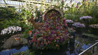 Londra'da Orkide Festivali için Kew Garden'da hazırlıklar devam ediyor