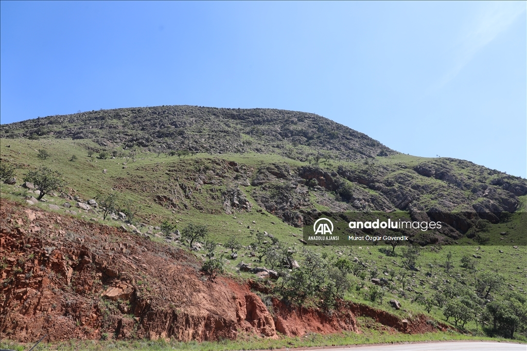 Afrika'nın dünya miraslarından biri: Barberton Makhonjwa Dağları