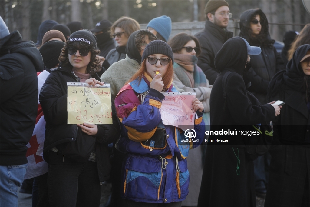 Gürcistan'daki AB yanlısı gösterilerde bazı protestocular gözaltına alındı