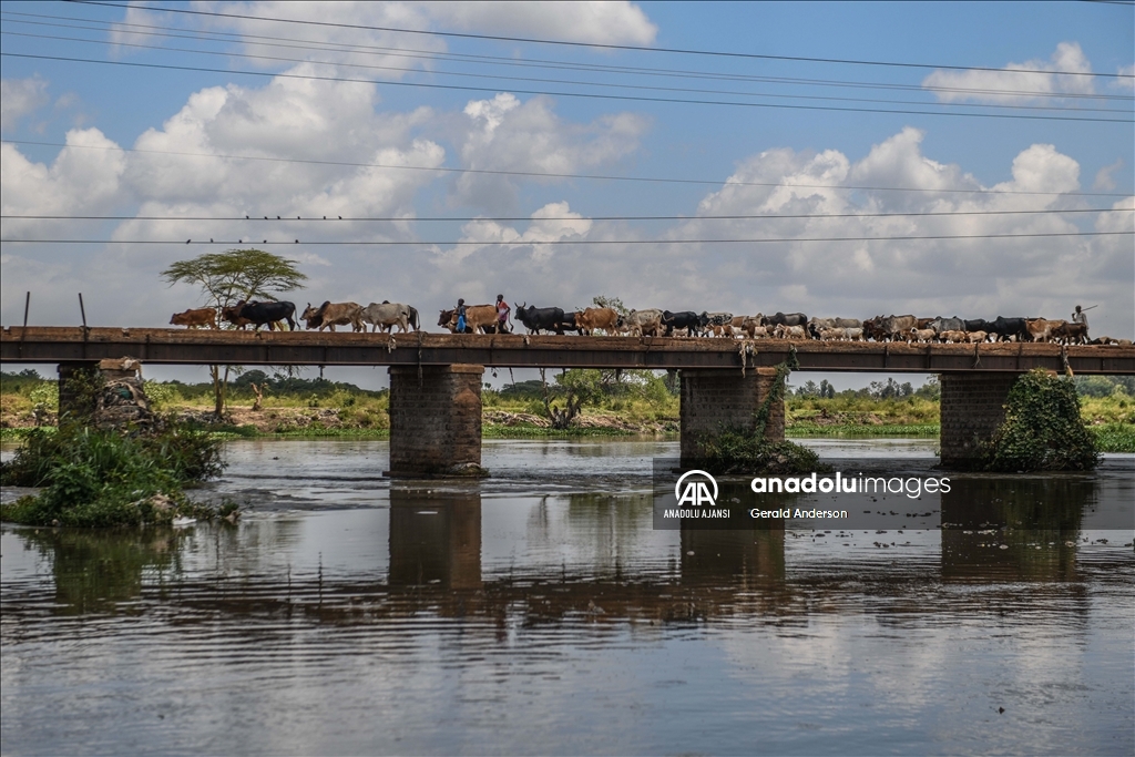 Kenya'da "Dünya Sulak Alanlar Günü"