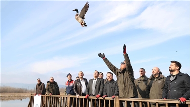 Batı Karadeniz'in kuş cenneti Efteni Gölü'nde "Dünya Sulak Alanlar Günü" etkinliği