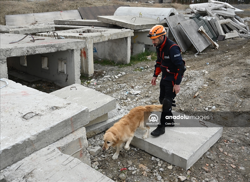 AFAD'ın arama kurtarma ekipleri zorlu görevlere sıkı eğitimlerle hazırlanıyor