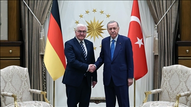 Cumhurbaşkanı Erdoğan, Almanya Cumhurbaşkanı Steinmeier ile görüştü