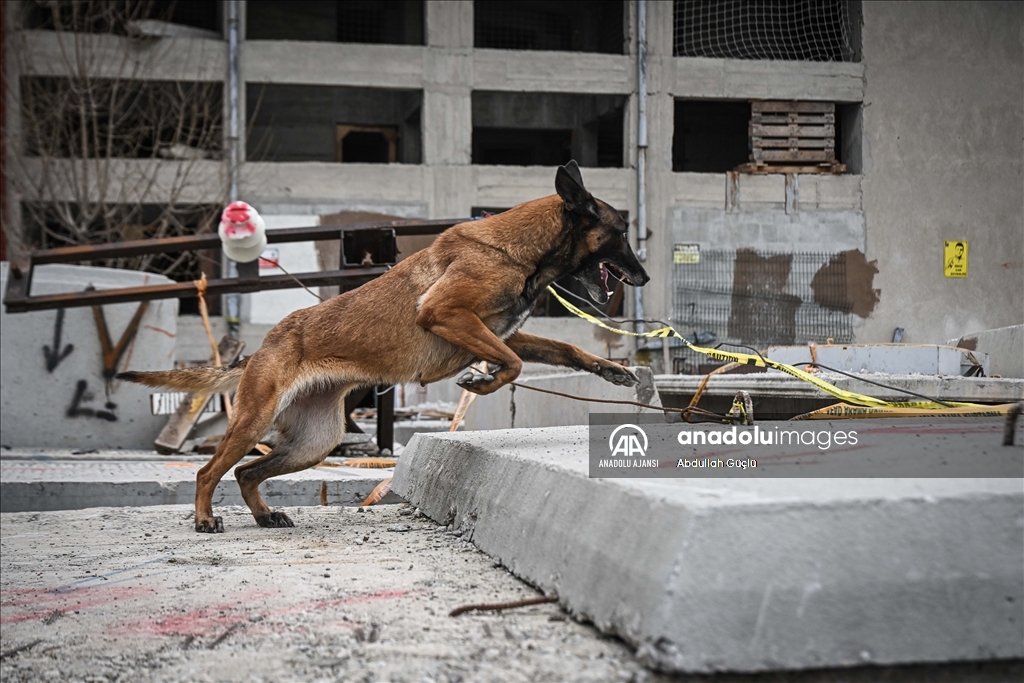 "Asrın felaketi"nde 660 depremzedeyi kurtaran PAK timleri zorlu eğitimden geçiyor