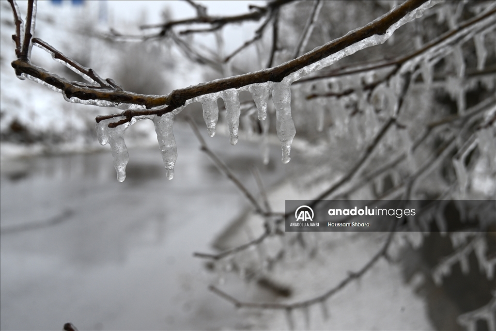 Lübnan'da "Asil" kar fırtınası