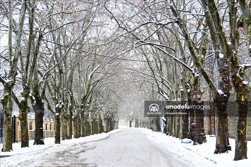 Lübnan'da "Asil" kar fırtınası