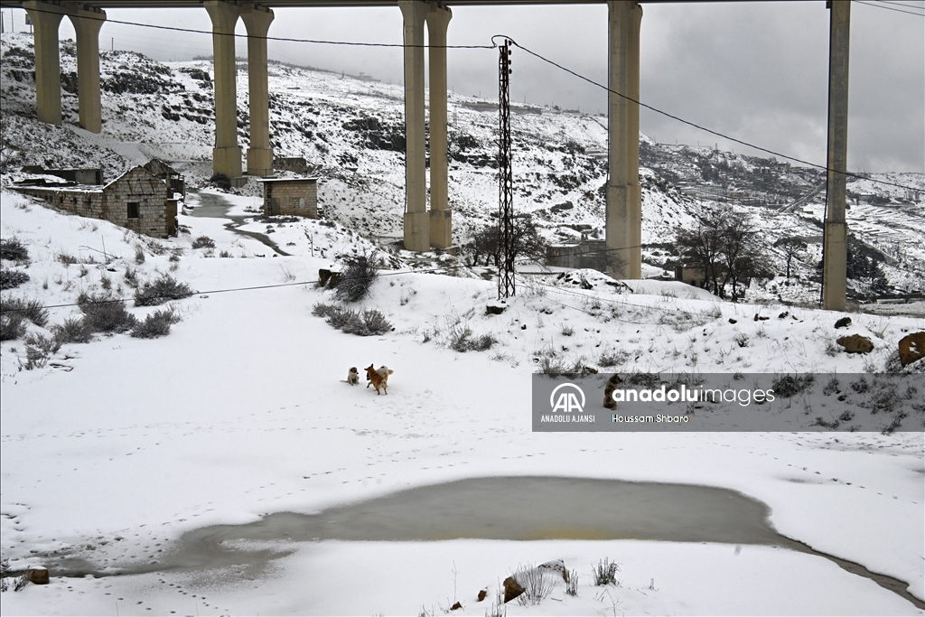 Lübnan'da "Asil" kar fırtınası