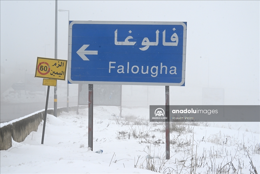 Lübnan'da "Asil" kar fırtınası